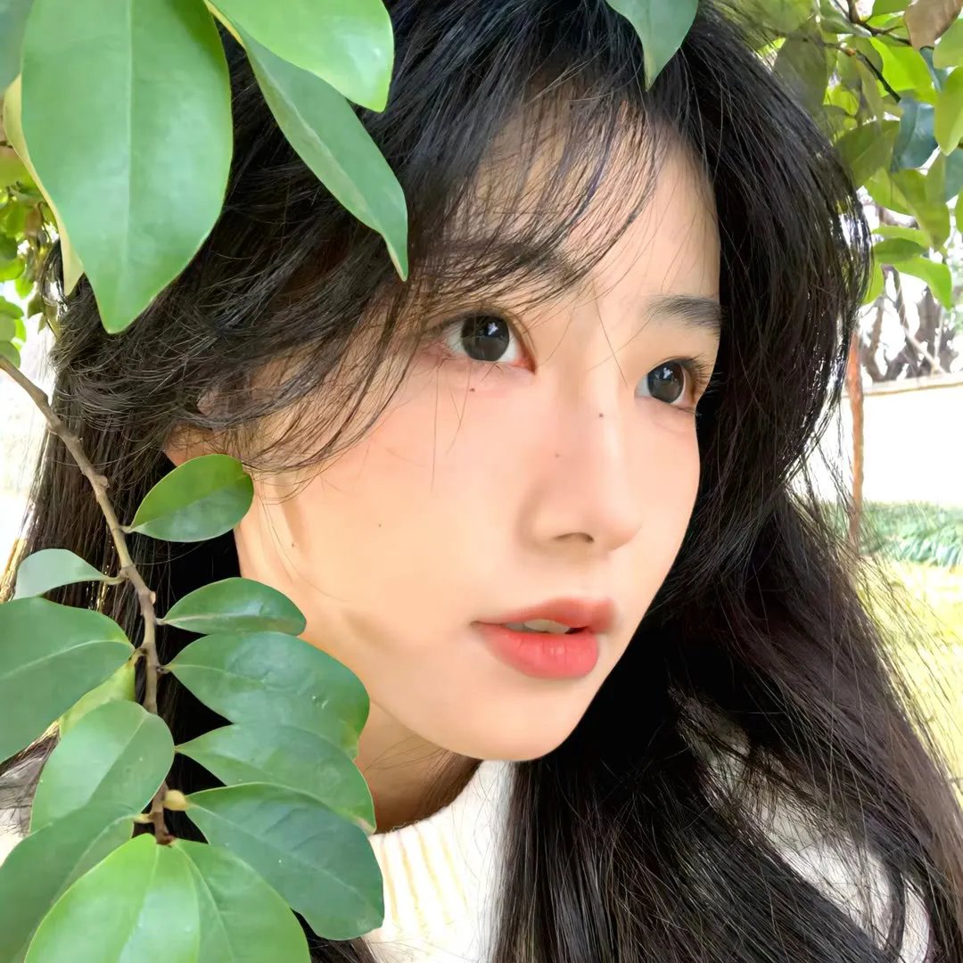 正直的候选人