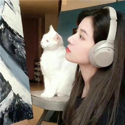 乐韵情缘